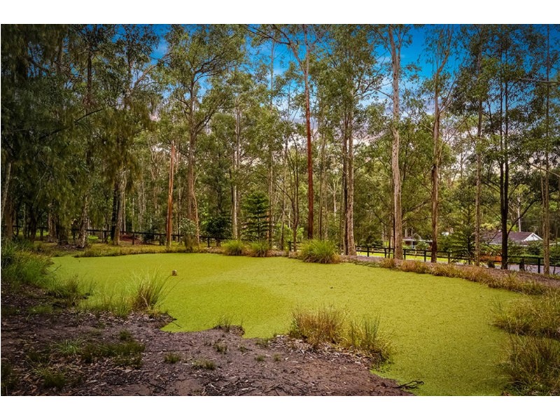 3 Francis Byrnes Road, Jilliby NSW 2259