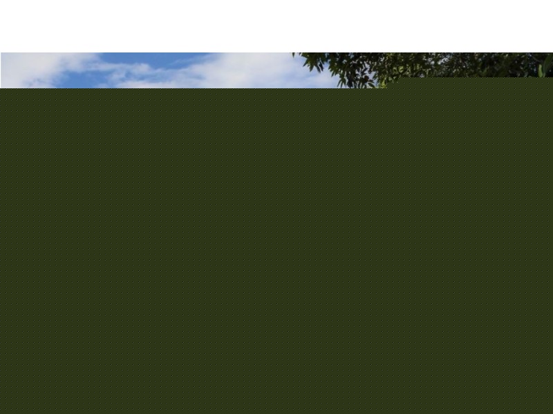 27 Anzac Ave, Wyong NSW 2259