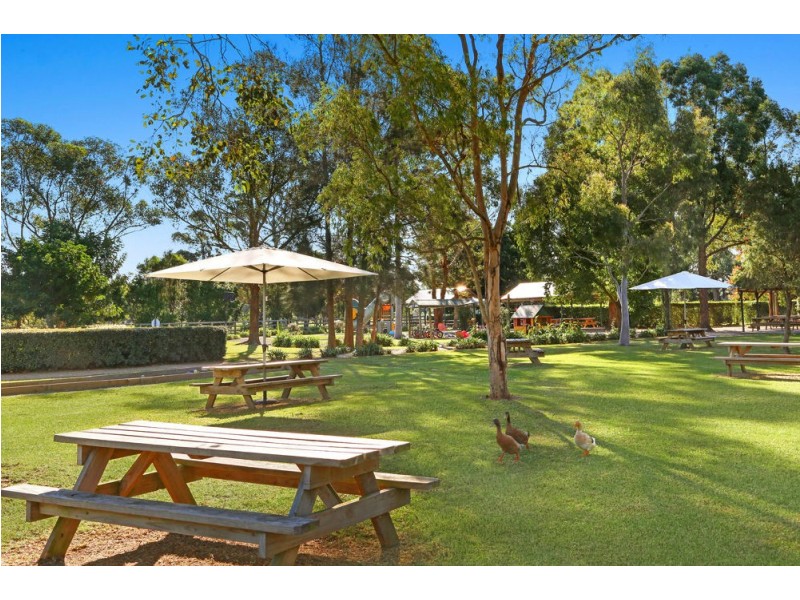 170 Yarramalong Road, Wyong Creek NSW 2259