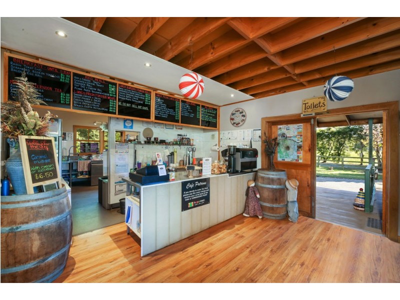 170 Yarramalong Road, Wyong Creek NSW 2259