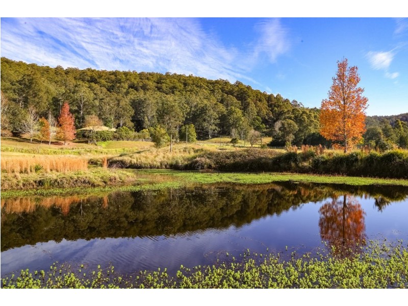 143 Stinsons Lane, Yarramalong NSW 2259