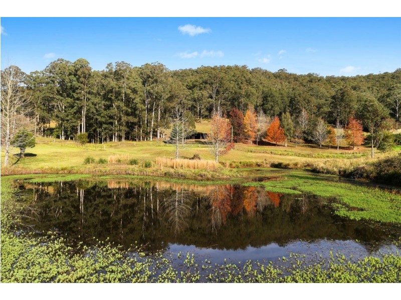 143 Stinsons Lane, Yarramalong NSW 2259