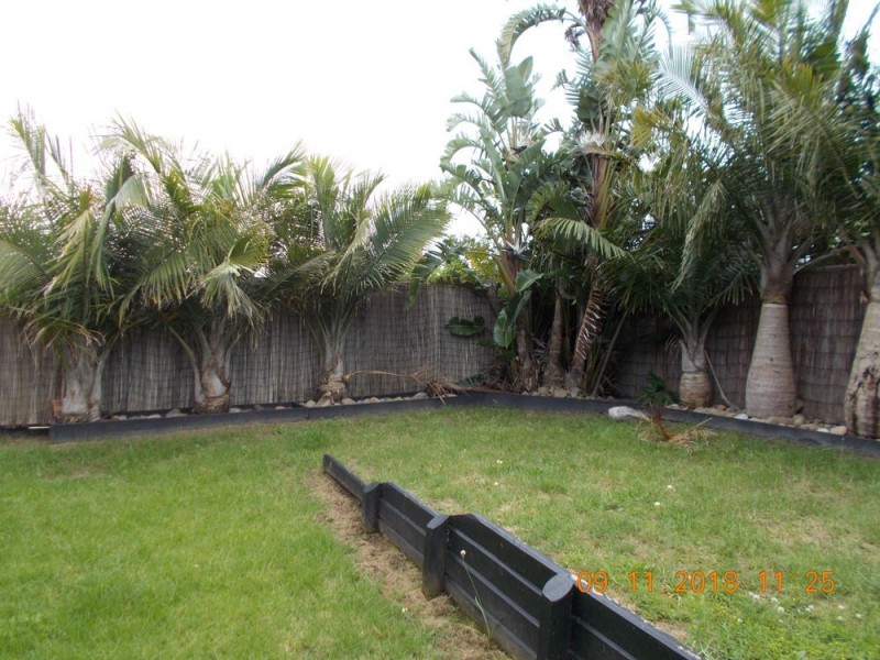 252 Warnervale Road, Hamlyn Terrace NSW 2259