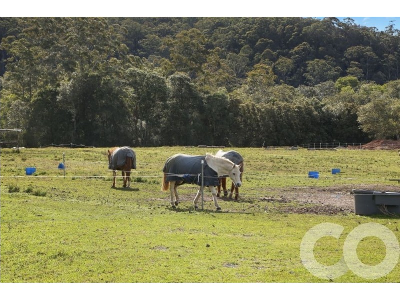 387 Yarramalong Road, Wyong Creek NSW 2259