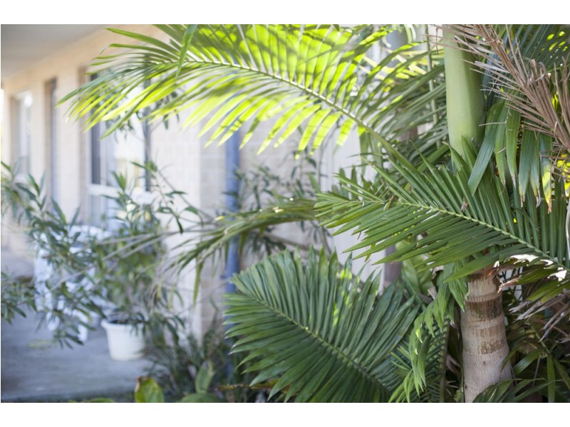 109 Orchid Way, Wadalba NSW 2259