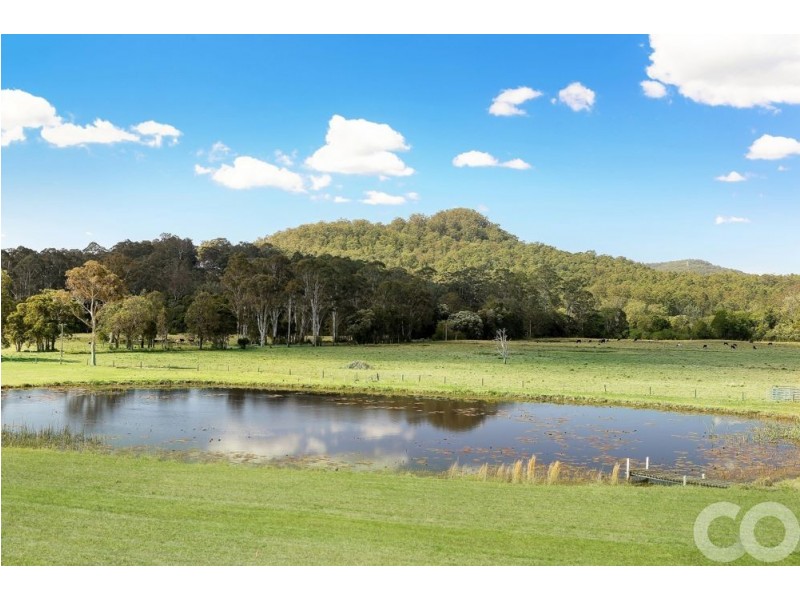 1175 Dooralong Road, Dooralong NSW 2259