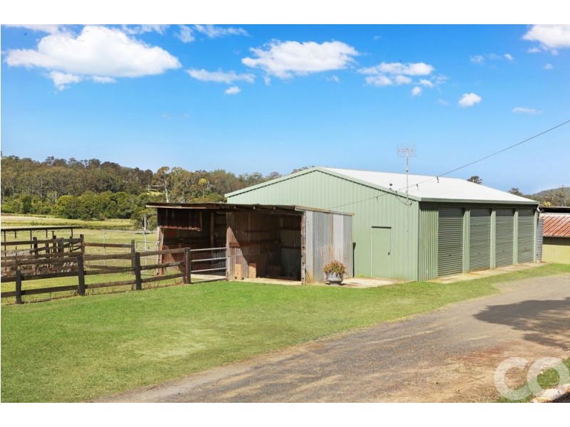 1175 Dooralong Road, Dooralong NSW 2259