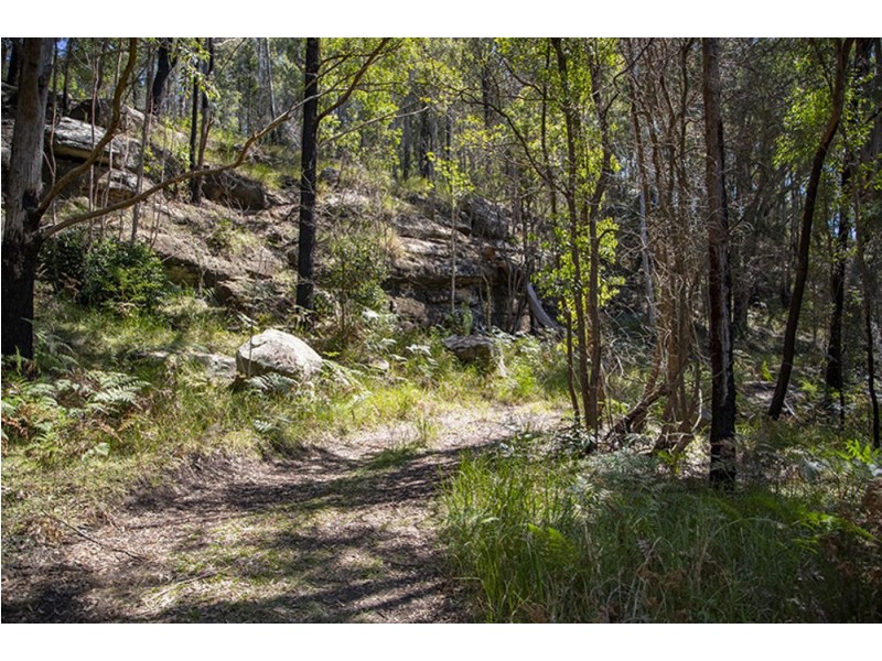 46 Bunning Creek Road, Yarramalong NSW 2259