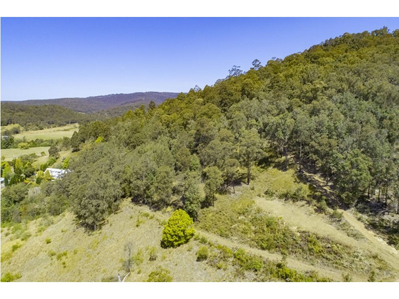 46 Bunning Creek Road, Yarramalong NSW 2259