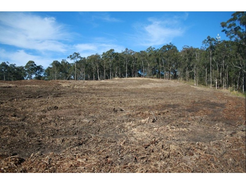 165 Louisiana Road, Wadalba NSW 2259