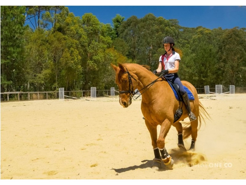 71 Maroney Road, Mangrove Mountain NSW 2250