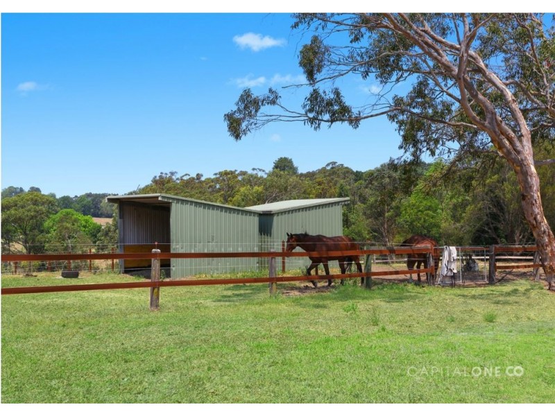 71 Maroney Road, Mangrove Mountain NSW 2250