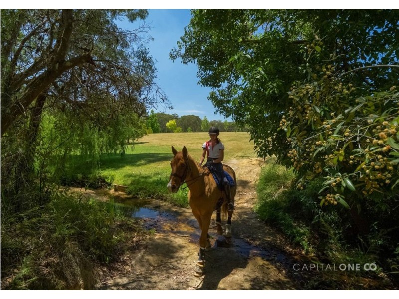 71 Maroney Road, Mangrove Mountain NSW 2250