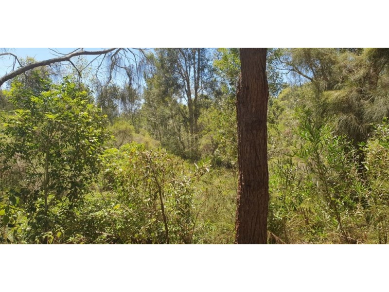 190 Jensen Road, Wadalba NSW 2259