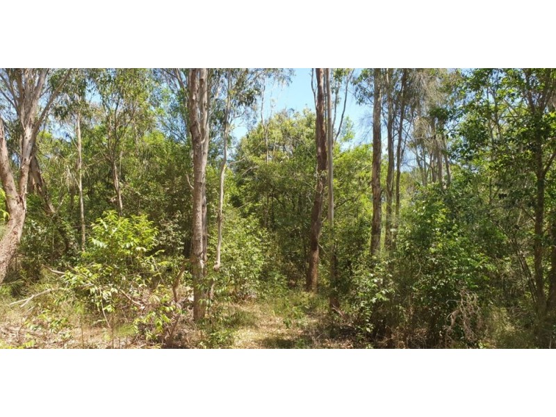 190 Jensen Road, Wadalba NSW 2259