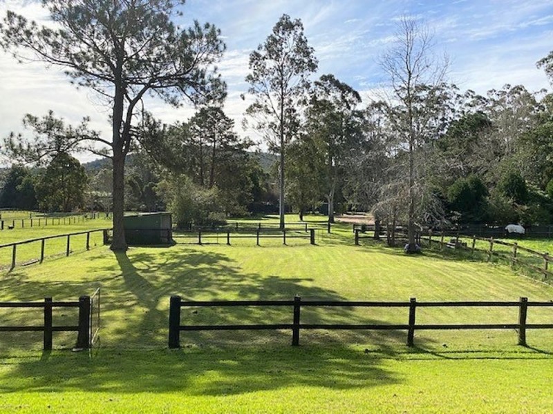 1569 Yarramalong Road, Yarramalong NSW 2259