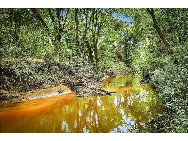 1569 Yarramalong Road, Yarramalong NSW 2259