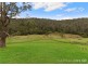 130 Spring Gully Lane, Cedar Brush Creek NSW 2259