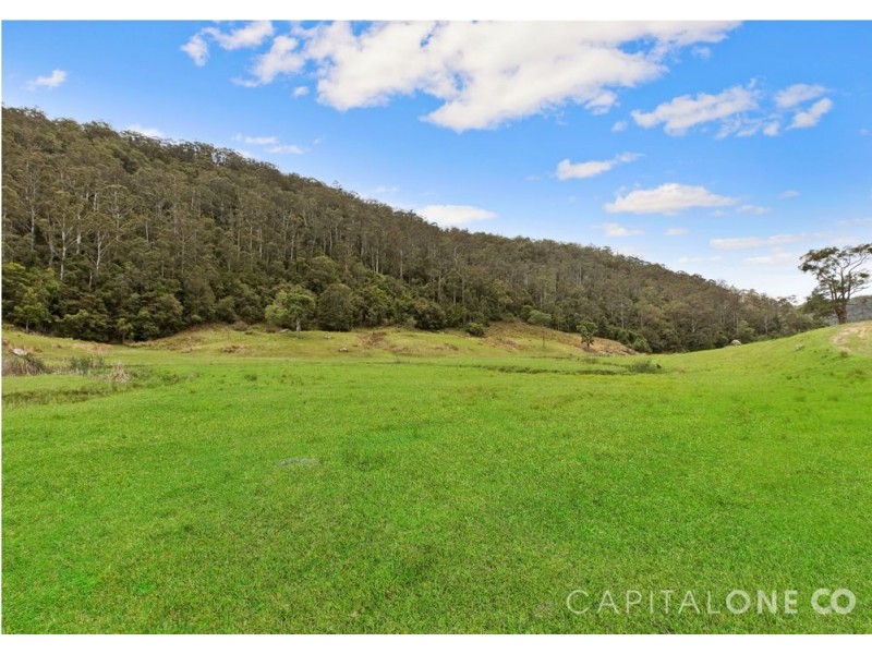 130 Spring Gully Lane, Cedar Brush Creek NSW 2259