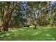 1114 Yarramalong Road, Wyong Creek NSW 2259