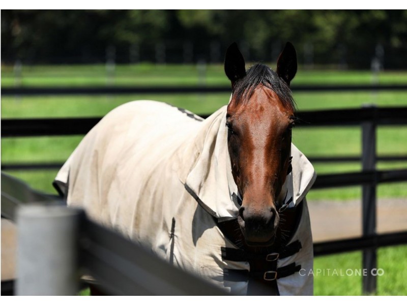 50 Beaven Lane, Jilliby NSW 2259