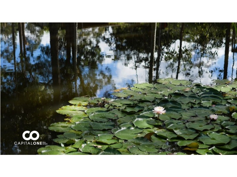 274 Toepfers Road, Wyee NSW 2259