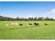 333 Yarramalong Road, Wyong Creek NSW 2259