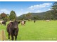 333 Yarramalong Road, Wyong Creek NSW 2259
