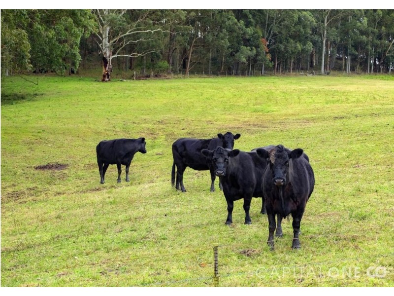 34 Bailey Road, Jilliby NSW 2259