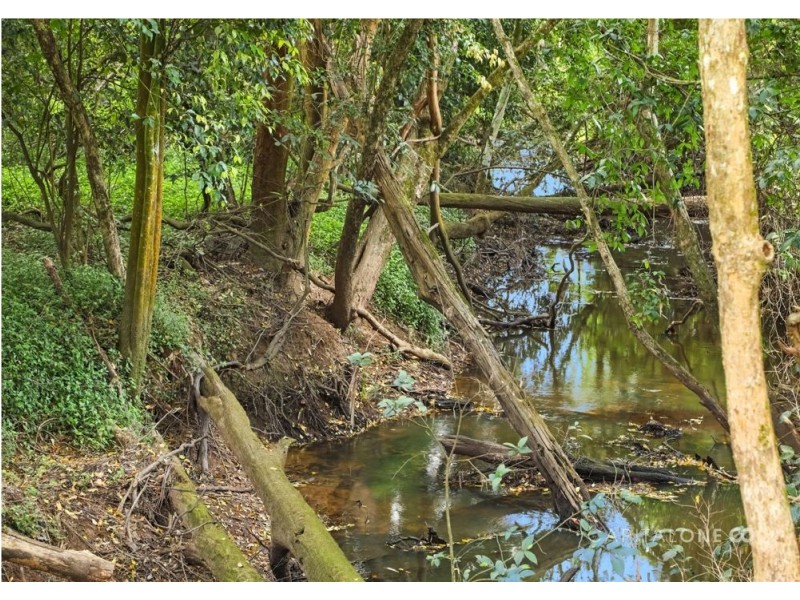 589 Jilliby Road, Jilliby NSW 2259