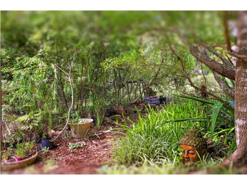 70 Giribil Track, Bucketty NSW 2250