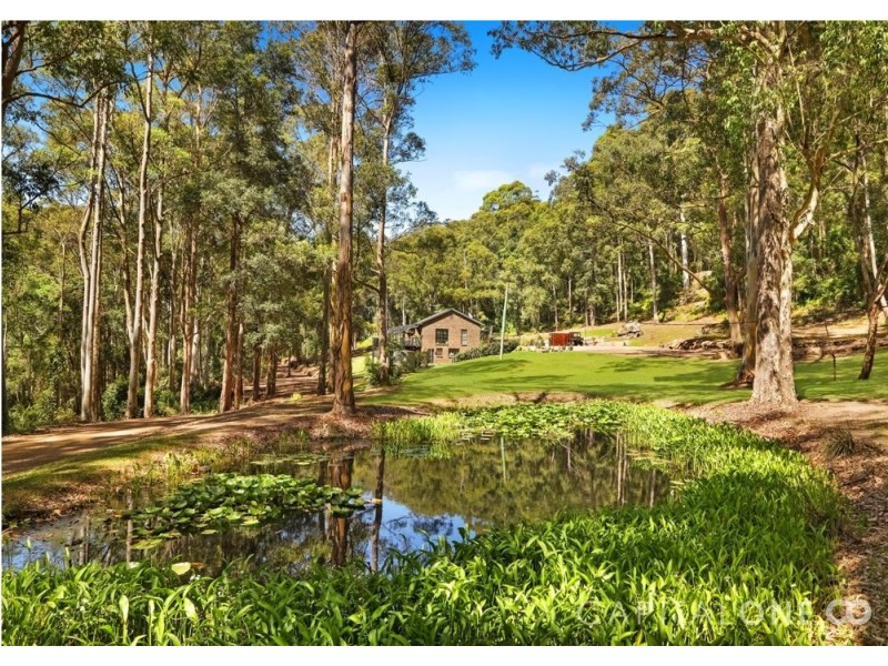 1154 Yarramalong Road, Wyong Creek NSW 2259