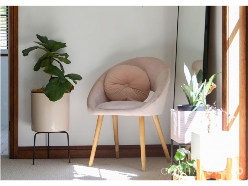 1154 Yarramalong Road, Wyong Creek NSW 2259