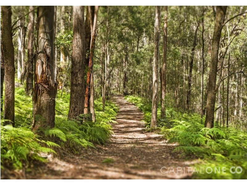 1154 Yarramalong Road, Wyong Creek NSW 2259