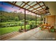 79 Chandlers Lane, Wyong Creek NSW 2259