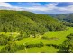 227 Brush Creek Road, Cedar Brush Creek NSW 2259