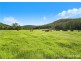 227 Brush Creek Road, Cedar Brush Creek NSW 2259