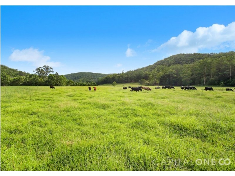 227 Brush Creek Road, Cedar Brush Creek NSW 2259