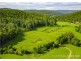 227 Brush Creek Road, Cedar Brush Creek NSW 2259