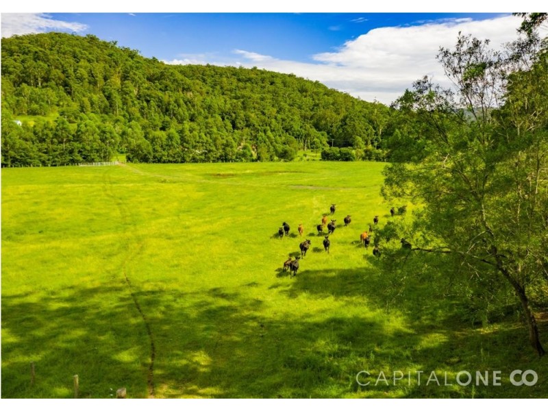 227 Brush Creek Road, Cedar Brush Creek NSW 2259