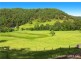 227 Brush Creek Road, Cedar Brush Creek NSW 2259