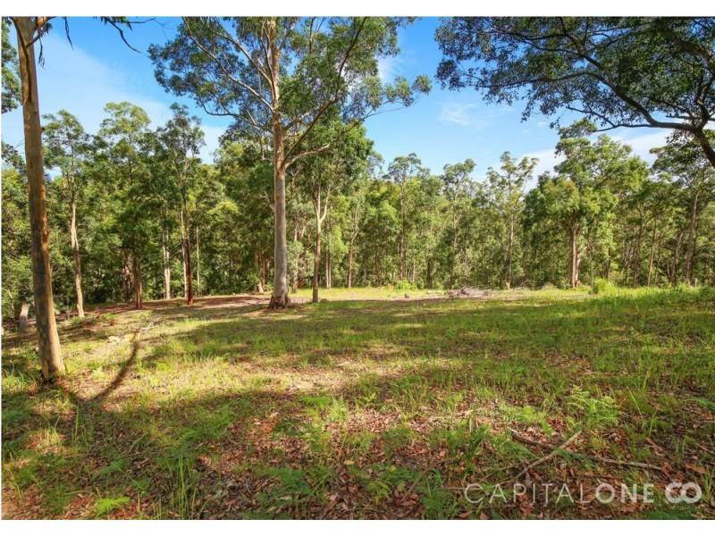 227 Brush Creek Road, Cedar Brush Creek NSW 2259
