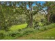 321 Bunning Creek Road, Yarramalong NSW 2259
