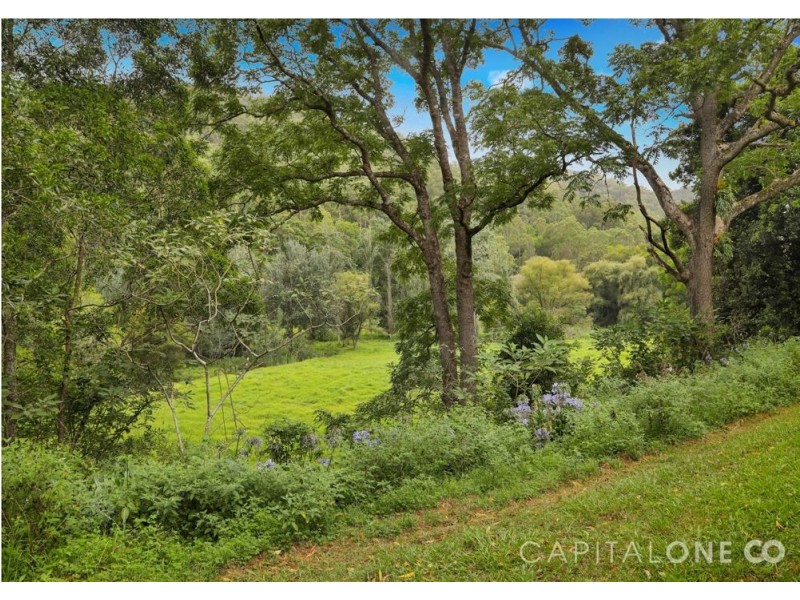 321 Bunning Creek Road, Yarramalong NSW 2259