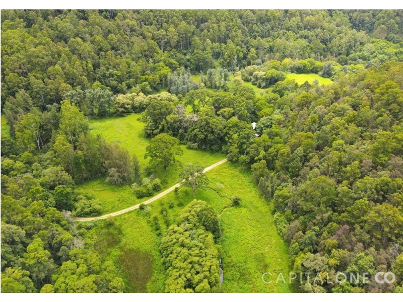 321 Bunning Creek Road, Yarramalong NSW 2259