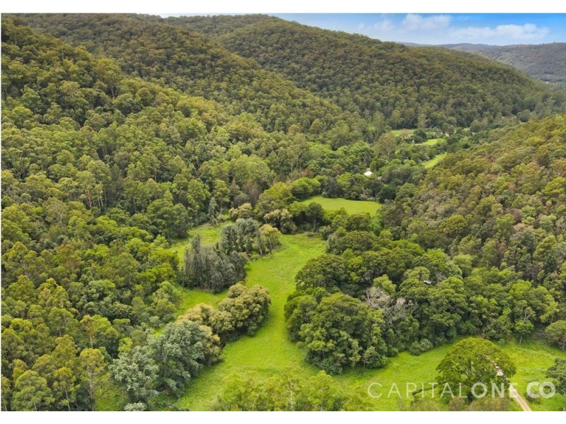 321 Bunning Creek Road, Yarramalong NSW 2259