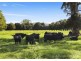 351 Jilliby Road, Jilliby NSW 2259