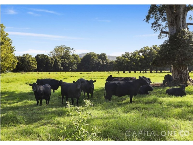 351 Jilliby Road, Jilliby NSW 2259