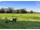 351 Jilliby Road, Jilliby NSW 2259