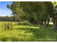 351 Jilliby Road, Jilliby NSW 2259